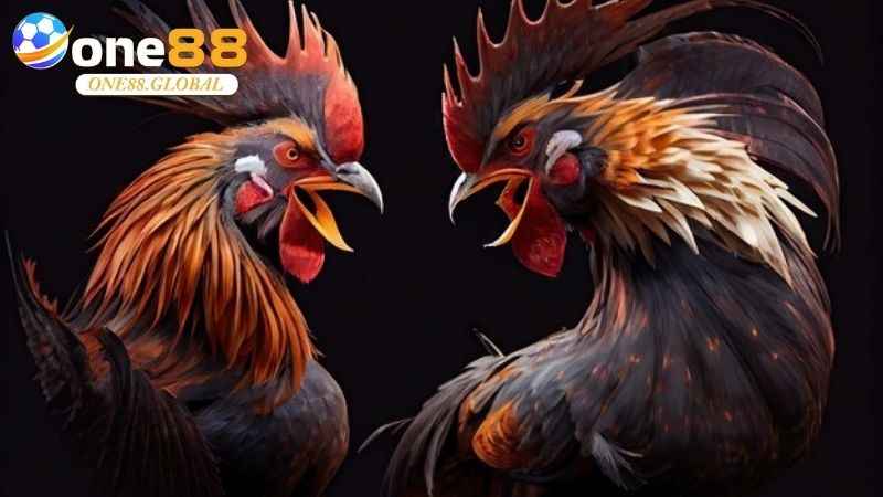 Đá Gà Cựa Sắt