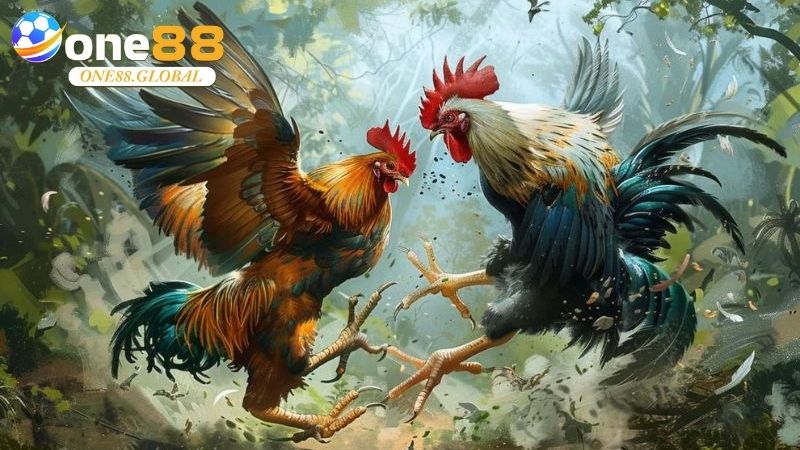 Đá Gà Philippines